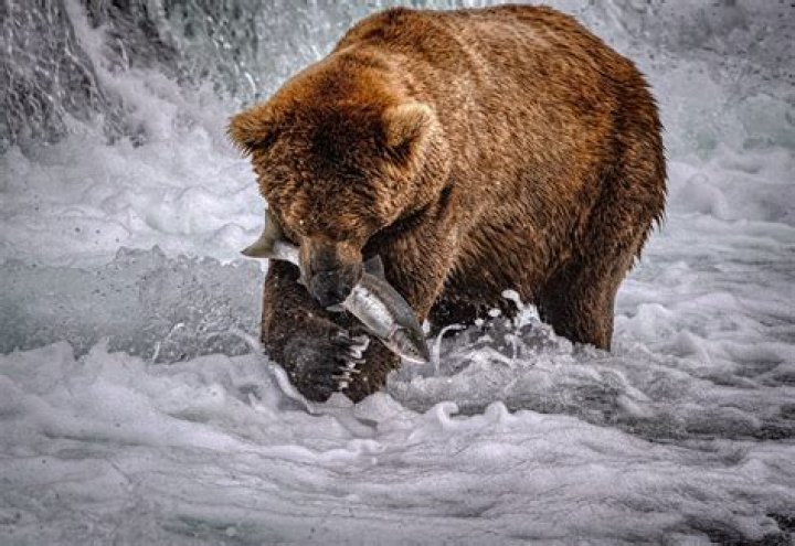11 Expert Tips for Photographing Alaska's Landscapes & Wildlife