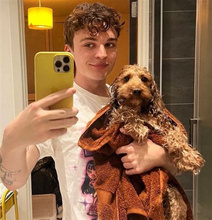 Adam McIntyre Pets - Celebrity Pets