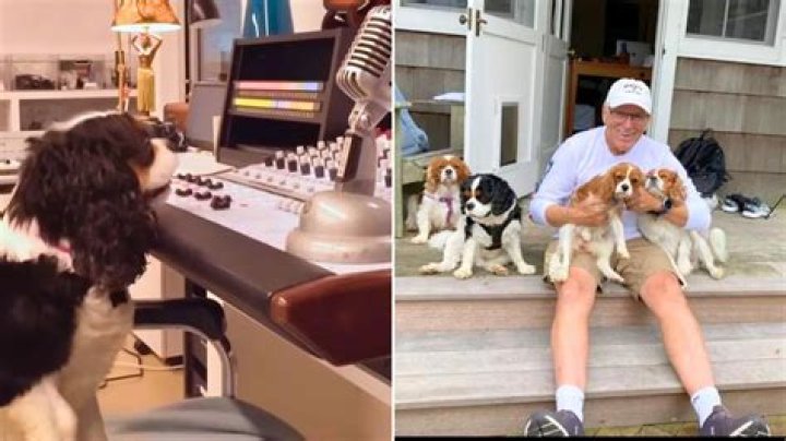 After Passing Away, Jimmy Buffet’s Final Music Video, ‘Like My Dog,’ Is Released To Support Pet Adoption