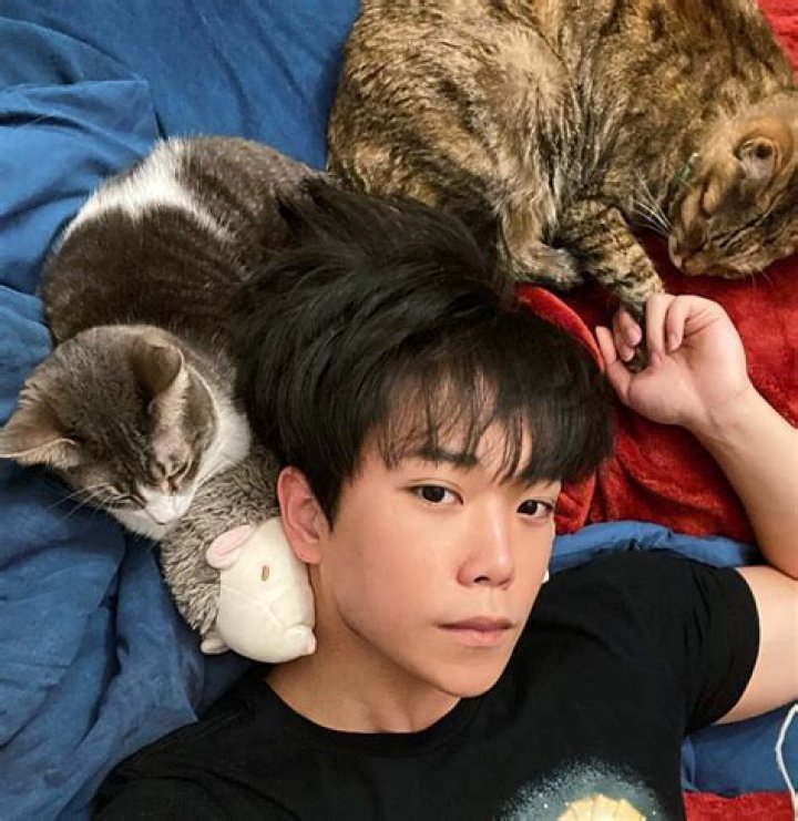 Aleks Le Pets - Celebrity Pets