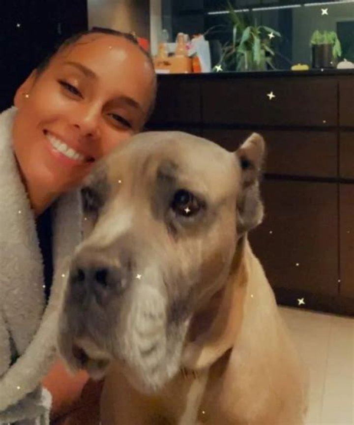 Alicia Keys Pets - Celebrity Pets