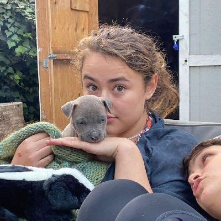 All About Ava Emanuelle Bellows Boyfriend, Net Worth and Bio