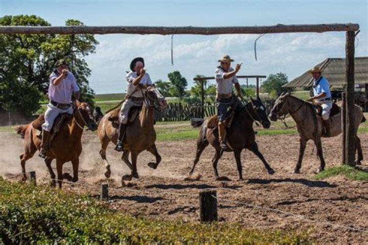 Argentina Culture Guide: 11 Can’t-Miss Customs & Traditions