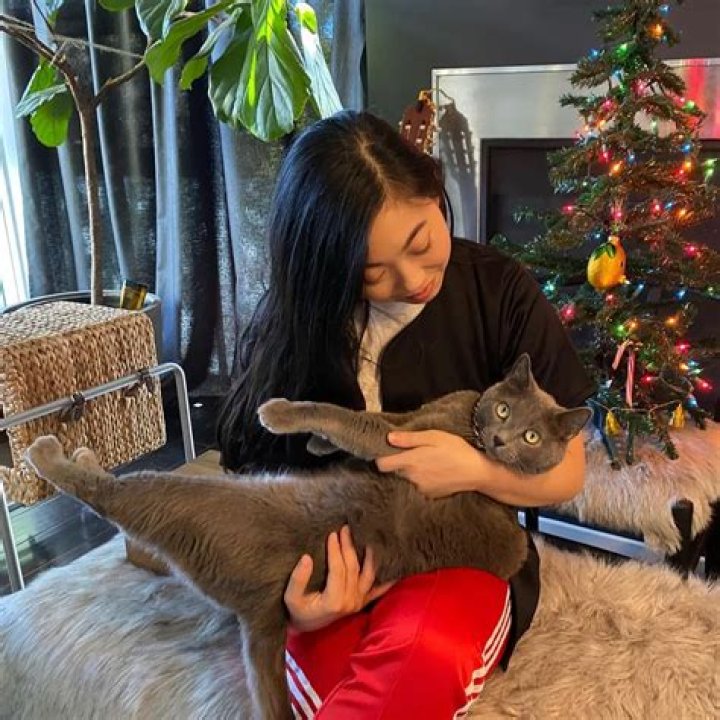 Awkwafina Pets - Celebrity Pets
