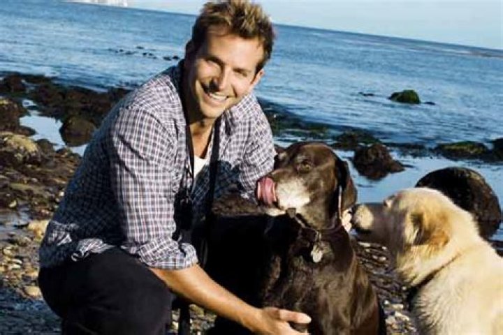 Bradley Cooper Pets - Celebrity Pets
