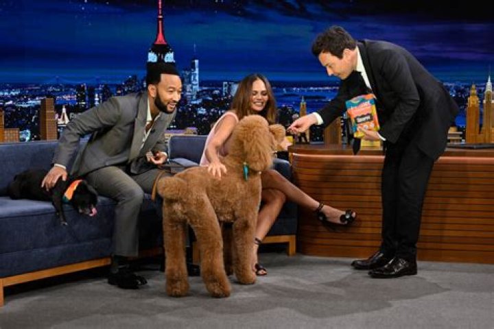 Chrissy Teigen and John Legend adopt cutest dog in the world