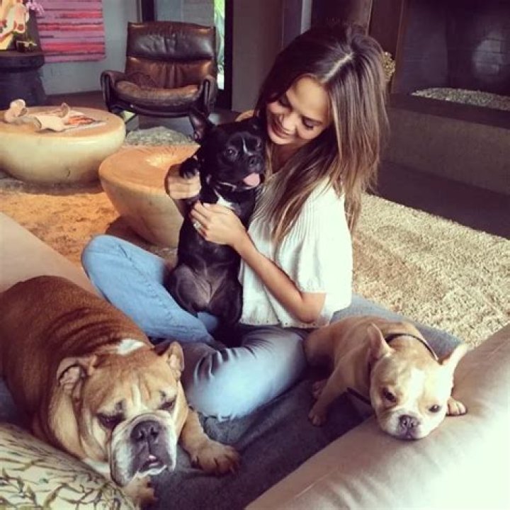 Chrissy Teigen Pets - Celebrity Pets