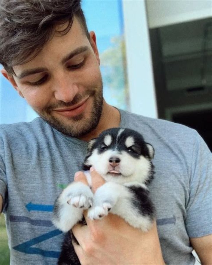 Daniel Preda Pets - Celebrity Pets