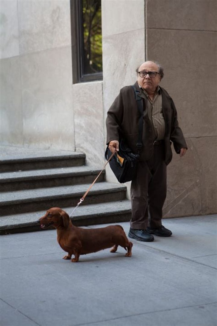 Danny DeVito Pets - Celebrity Pets