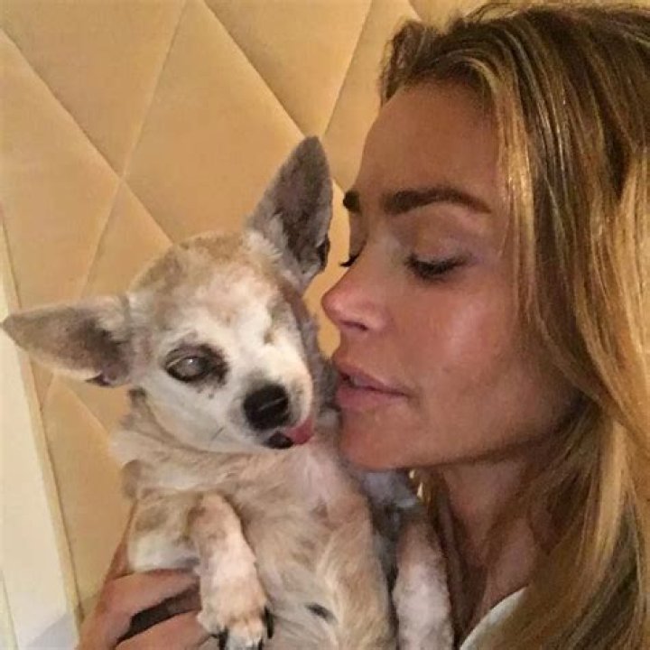 Denise Richards Pets - Celebrity Pets