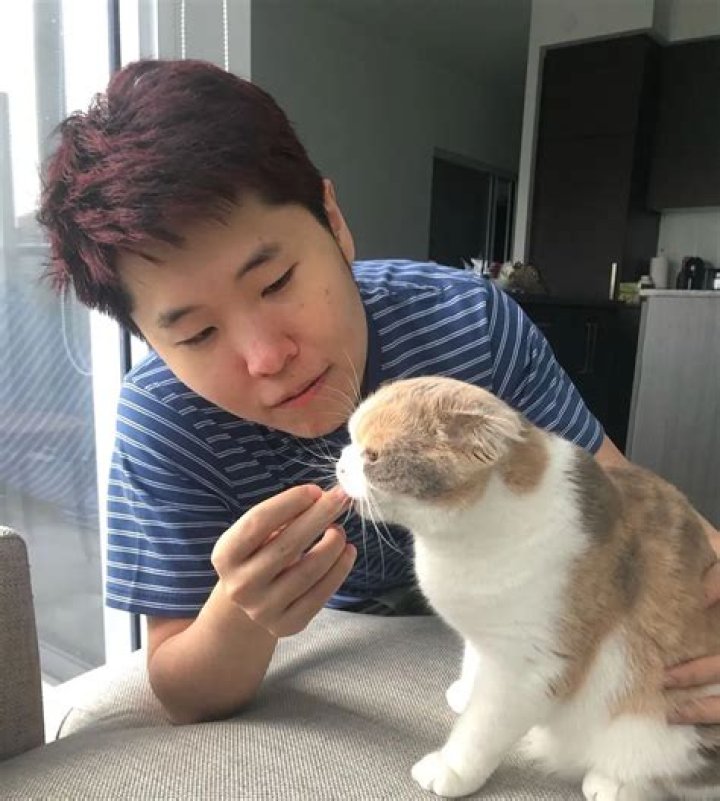 Disguised Toast Pets - Celebrity Pets