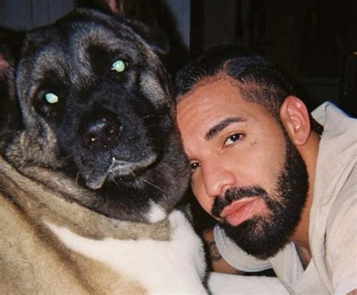 Drake Pets - Celebrity Pets