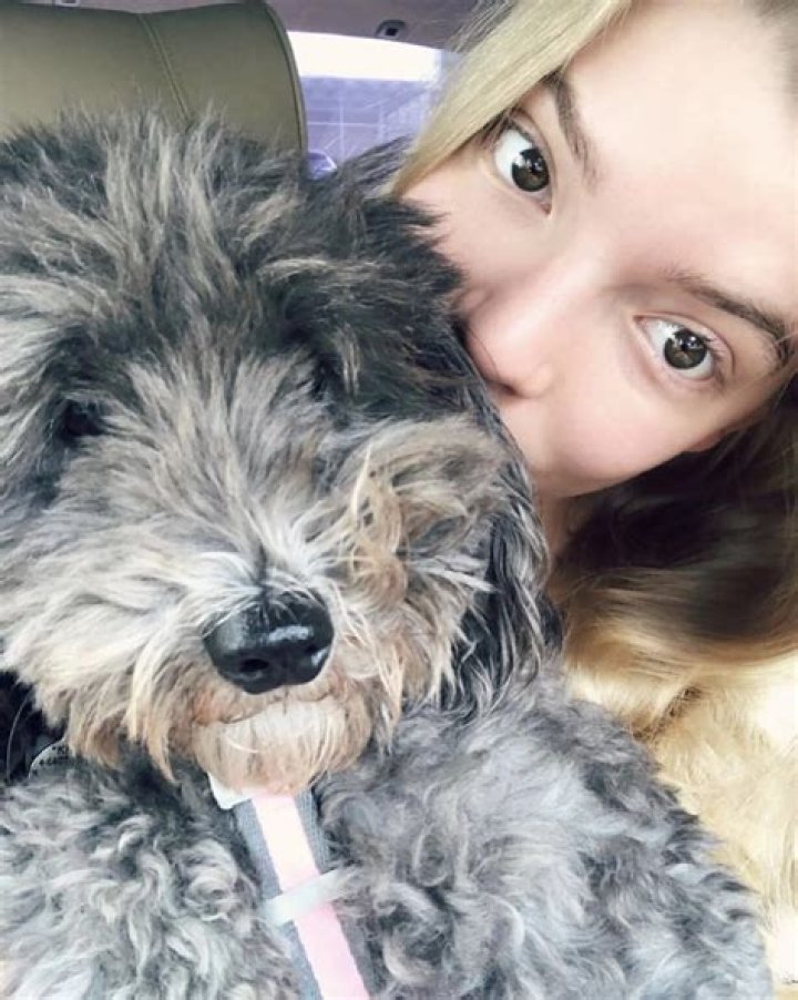 Feisty Aardvark Winsol born to Cincinnati Zoo Finally Named and has New Identity