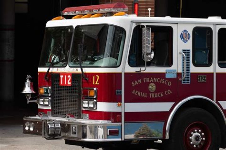 Firefighters rescue 5 cats from burning building