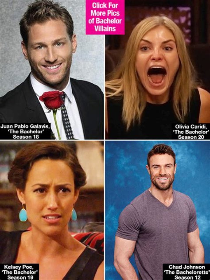 Former Bachelor Juan Pablo Used Nikki Ferrell for Media Attention