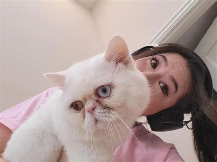 fuslie Pets - Celebrity Pets