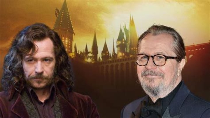 Harry Potter star Gary Oldman believes his work in the franchise is 'mediocre'