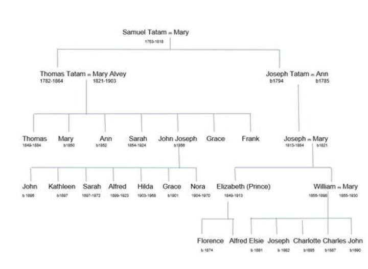 Is Jayson Tatum Related To Channing Tatum? Family Tree And Ethnicity