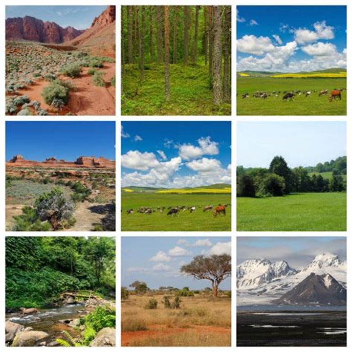 Is the Shrubland School real?