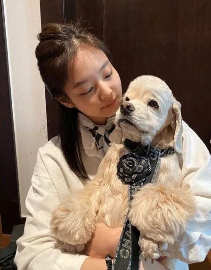 Jennie Kim Pets - Celebrity Pets