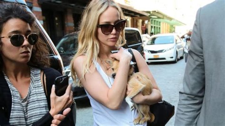 Jennifer Lawrence Pets - Celebrity Pets