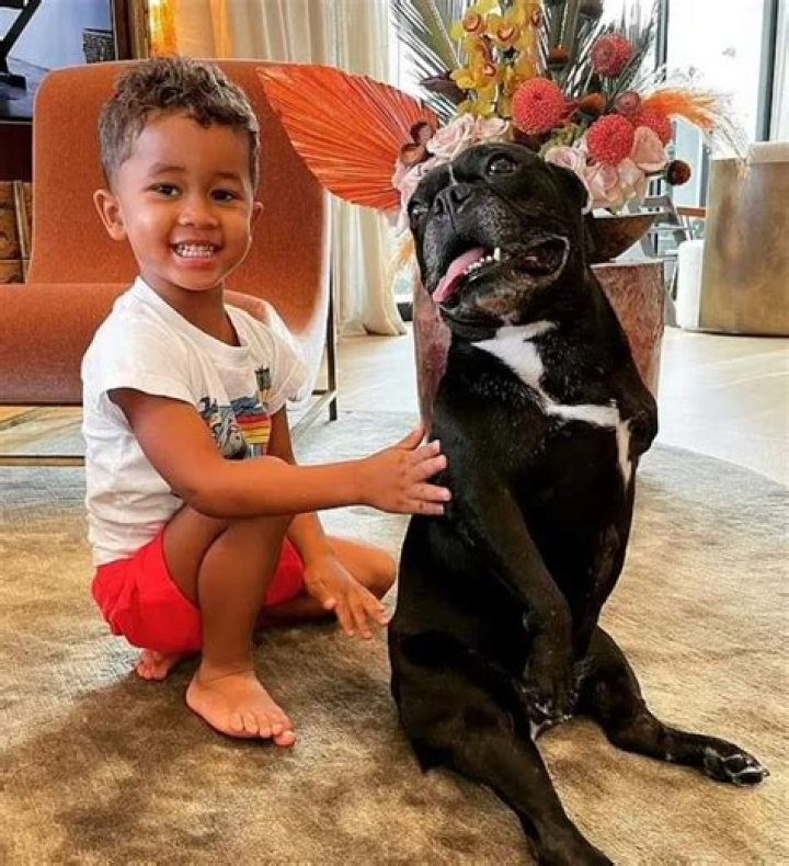 John Legend Pets - Celebrity Pets