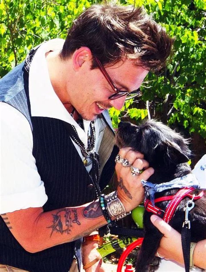 Johnny Depp Pets - Celebrity Pets