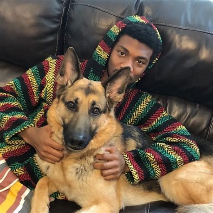 Jonathan Daviss Pets - Celebrity Pets