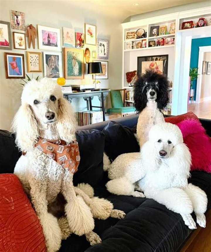 Josh Freese Pets - Celebrity Pets