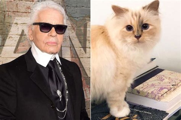 Karl Lagerfeld Pets - Celebrity Pets