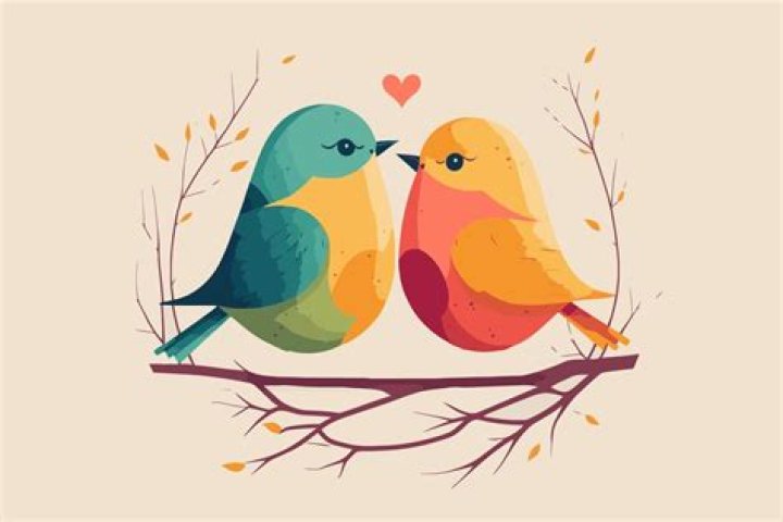Lovebirds (A Symbol of Valentine’s Day)