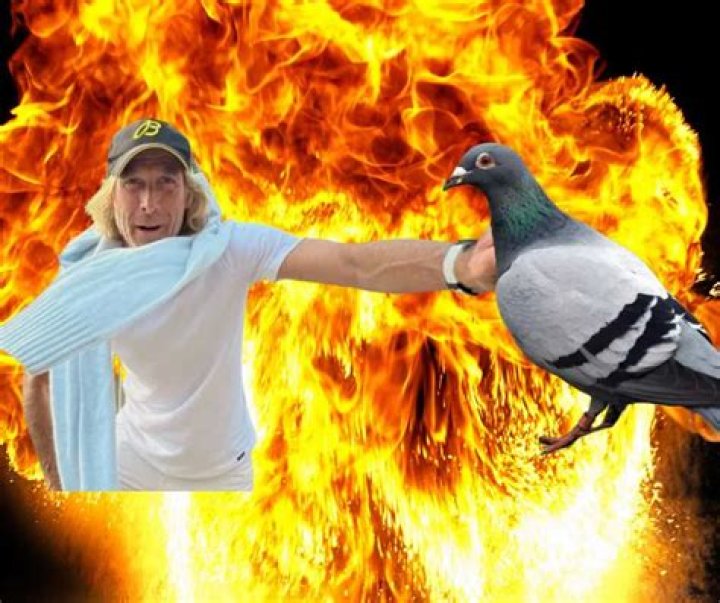 Michael Bay charged with killing a pigeon but denies the allegation
