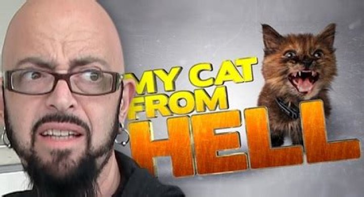 My Cat from Hell Star, Jackson Galaxy Is Married To Minoo Rahbar Since 2014