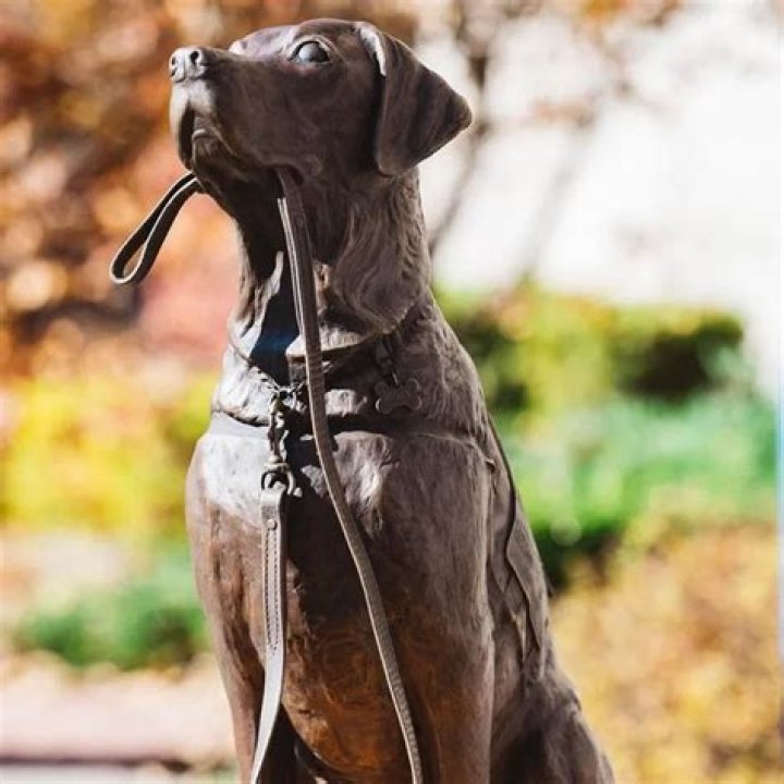 New Statue Honors Sully the Service Dog