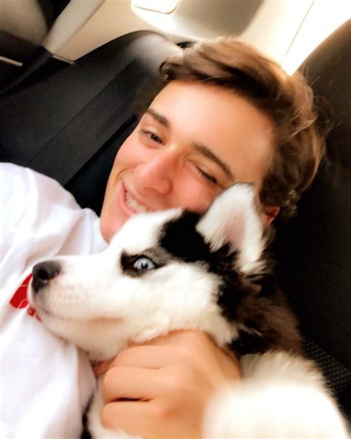 Noah Schnapp Pets - Celebrity Pets