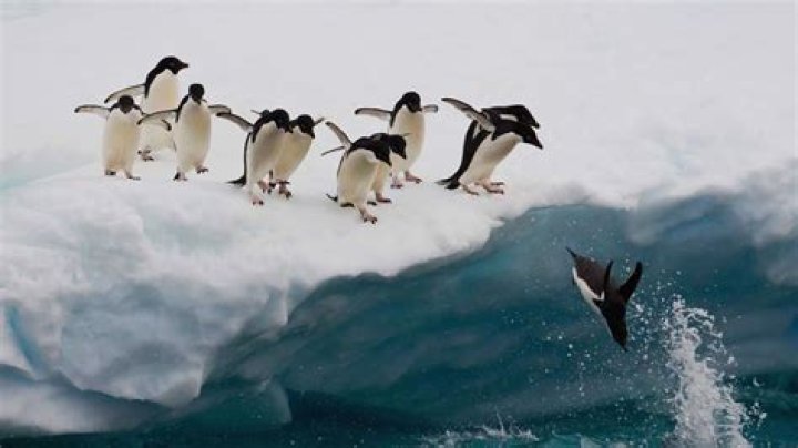 Paradise Bay Cruise: Best Cruises to Paradise Bay