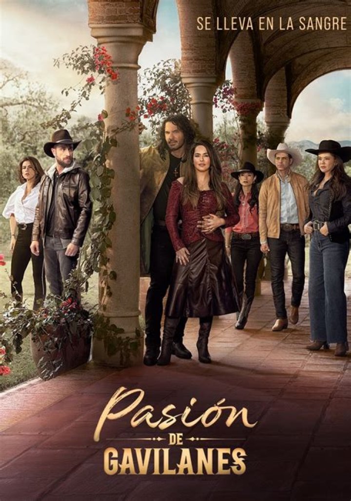 Pasión de Gavilanes season 3: Is another season happening?