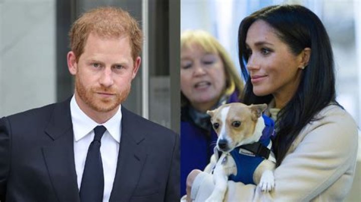 Prince Harry 'avoids' friend's wedding as it'd be 'awkward' but the 'real reason is Meghan' - expert