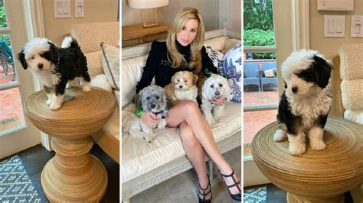 ‘Real Housewives’ Star Camille Meyers Introduces Mini Bernedoodle Pup Named Kona