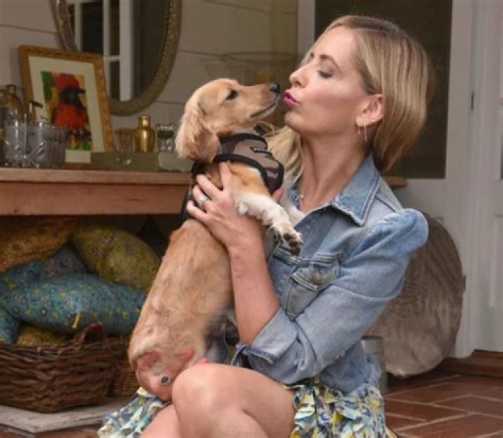 Sarah Michelle Gellar Pets - Celebrity Pets