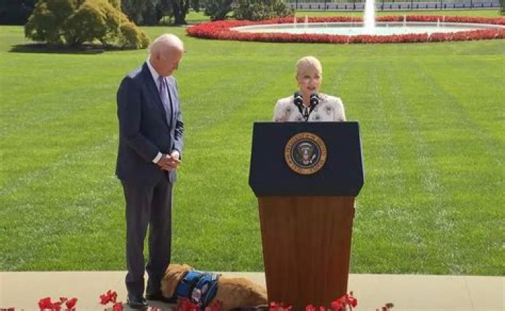 Selma Blair, Her Service Dog, and Joe Biden Commemorate the “Americans With Disabilities Act” at the White House