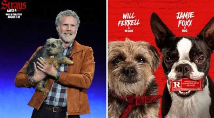 “Strays” Movie: Meet the Pets of the Cast!