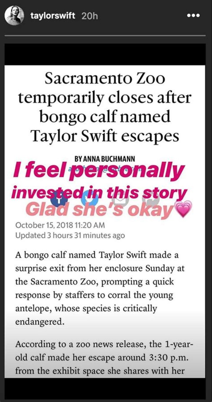 Taylor Swift Escapes From Zoo, Gains National Attention