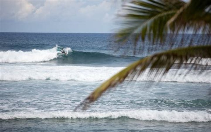 The Best Islands for Surfing in the Caribbean