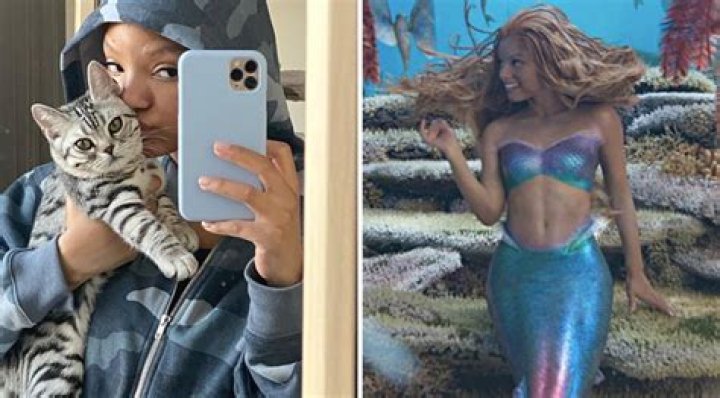 The Little Mermaid 2023: Meet the Pets of the Cast