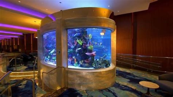 Tracy Morgan’s Custom Shark Tank Costs $400k and Weighs 50 tons