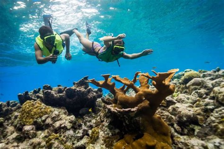Where to Find the Best Snorkeling in the Caribbean